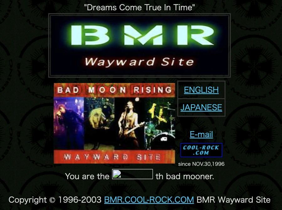BMR site 2003